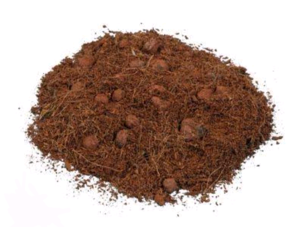 Gold Label Hydro/Coco 60/40 – Aroid & Alocasia Semi-Hydro Mix
