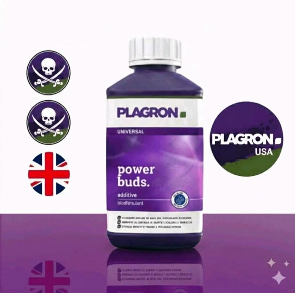 Plagron Power Buds Flowering Accelerator