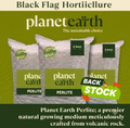 Perlite Soil Conditioner for Houseplants & Succulents – Planet Earth