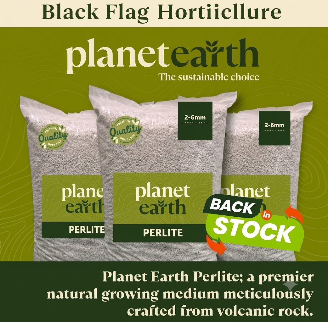 Perlite Soil Conditioner for Houseplants & Succulents – Planet Earth