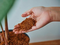 Tropic 100% Coco Pro – Coco Coir Potting Base for Houseplants & DIY Mixes