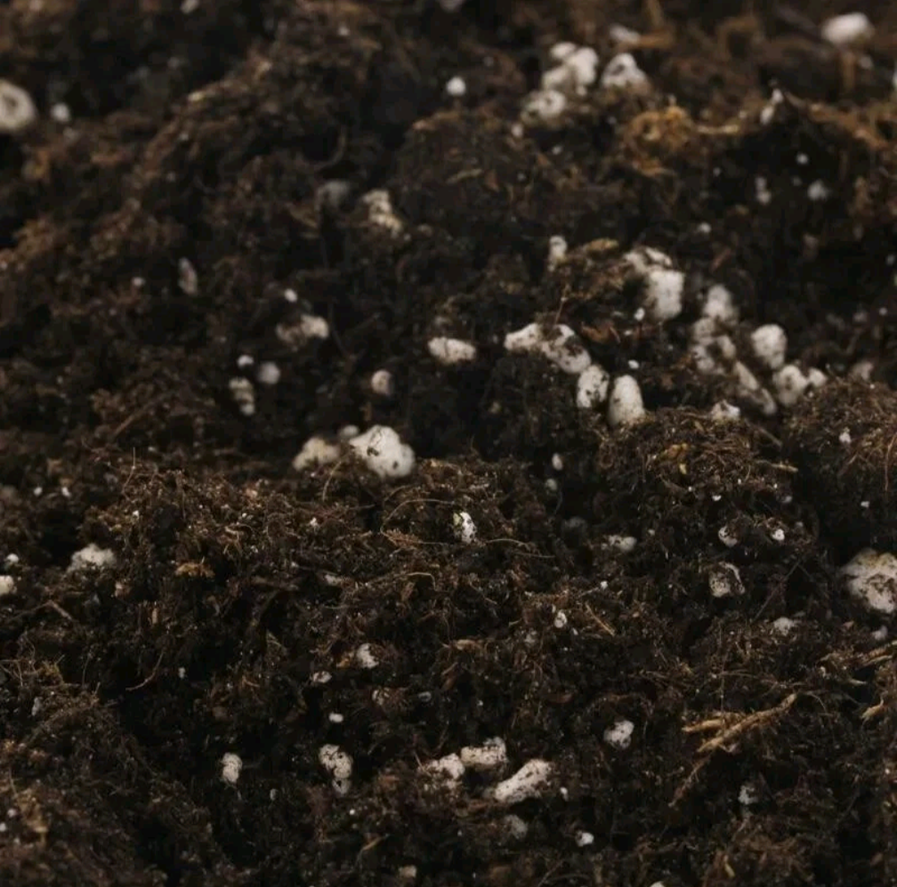 BIOBIZZ Light-Mix Organic Potting Soil for Cuttings & Houseplants