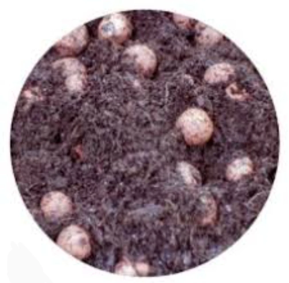 Jiffy PRO7 LECA Clay & Coco Semi-Hydro Mix 60/40