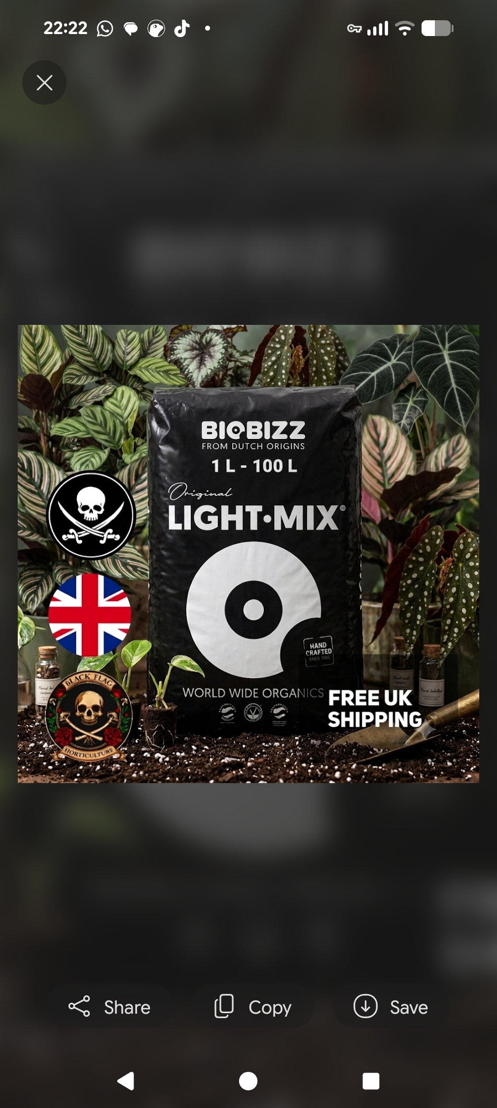 BioBizz -Light Mix (Premium Soil Mix for Vigorous Plant Growth)
