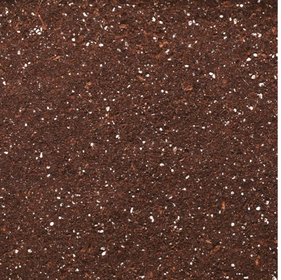 Jiffy PRO7 Light Mix – Peat Potting Soil for Houseplants & Propagation