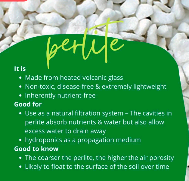 Perlite Soil Conditioner for Houseplants & Succulents – Eden Essentials