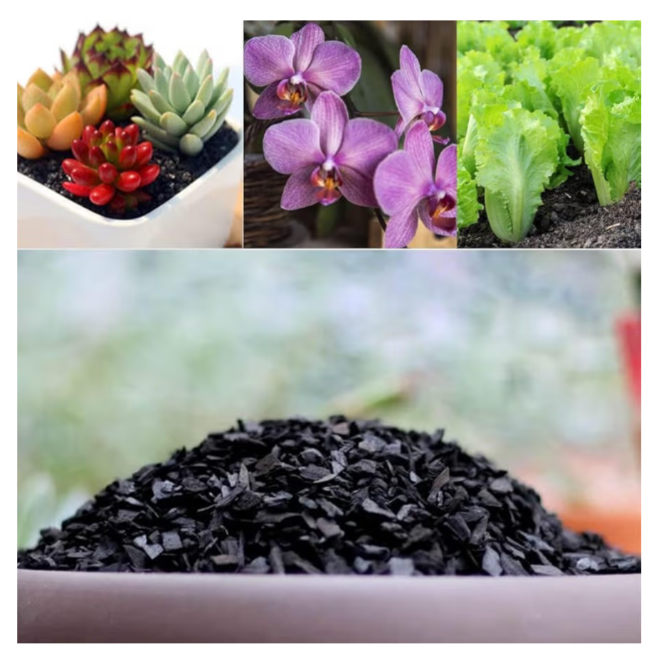 Premium Horticultural Charcoal