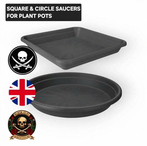 Black plastic plant pot saucers bulk pack
