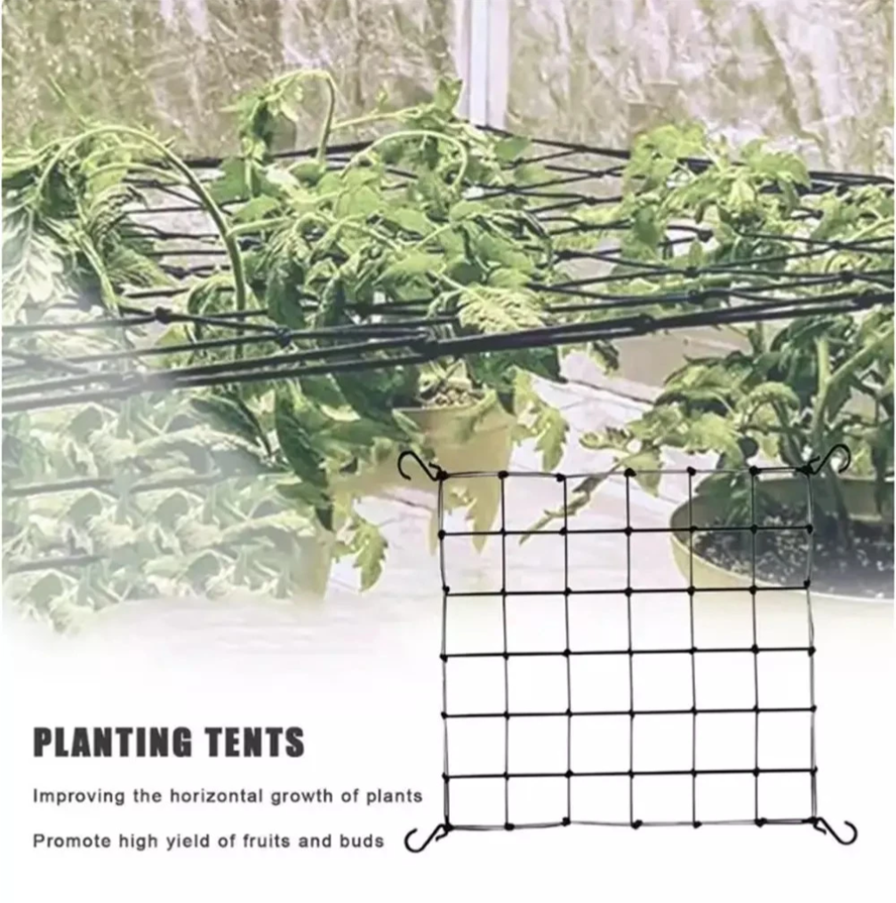 Grow Bitz - Green Box Stretch Scrog Netting