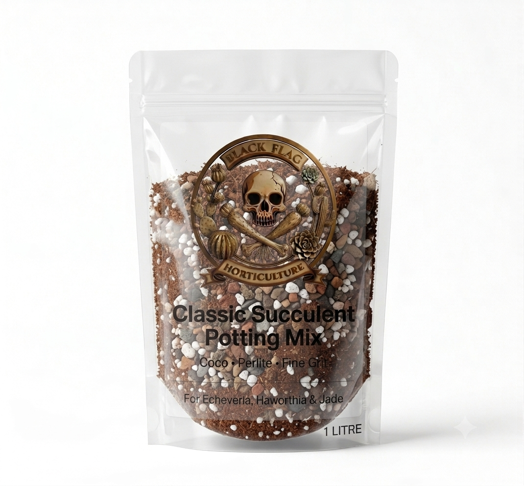 Classic Succulent Potting Mix by Black Flag Horticulture