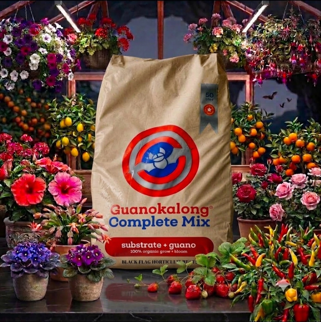 Organic Bat Guano Soil for Flowering & Fruiting Plants – Guanokalong