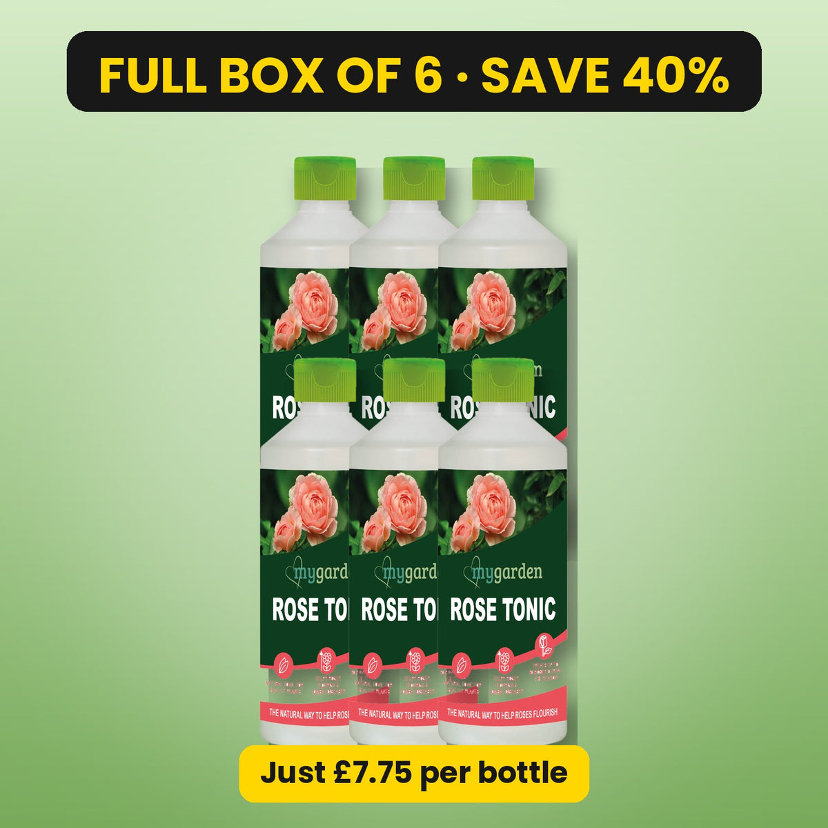 mygarden Rose Tonic – full box of 6, save 40%