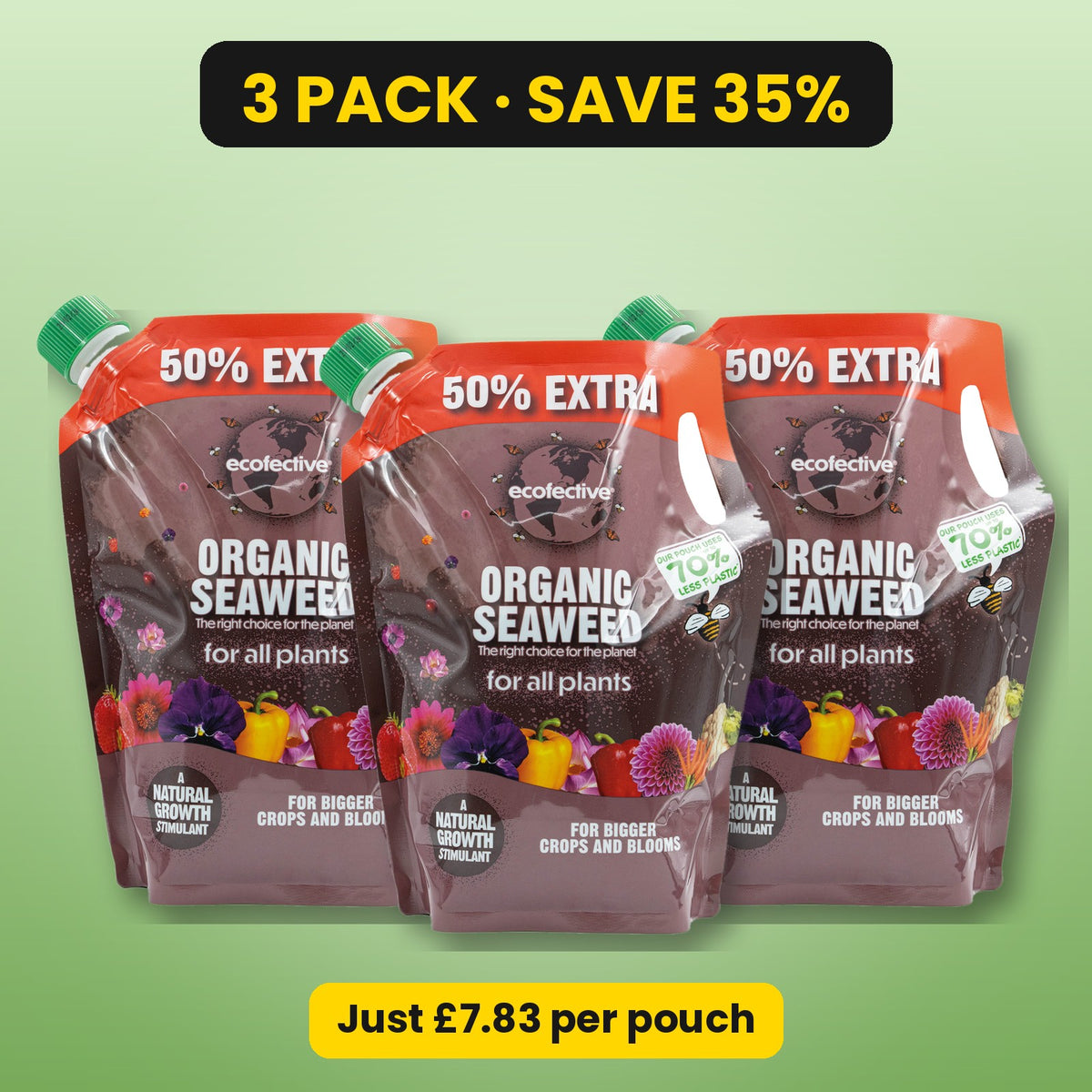 ecofective Organic Seaweed – 3 pack, save 35%
