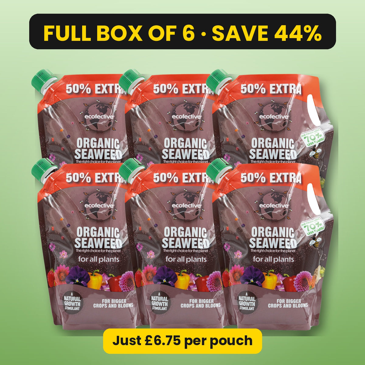 ecofective Organic Seaweed – full box of 6, save 44%