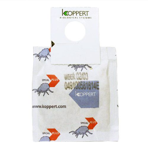 Koppert - Spical Plus - Spidermite Predators Sachets