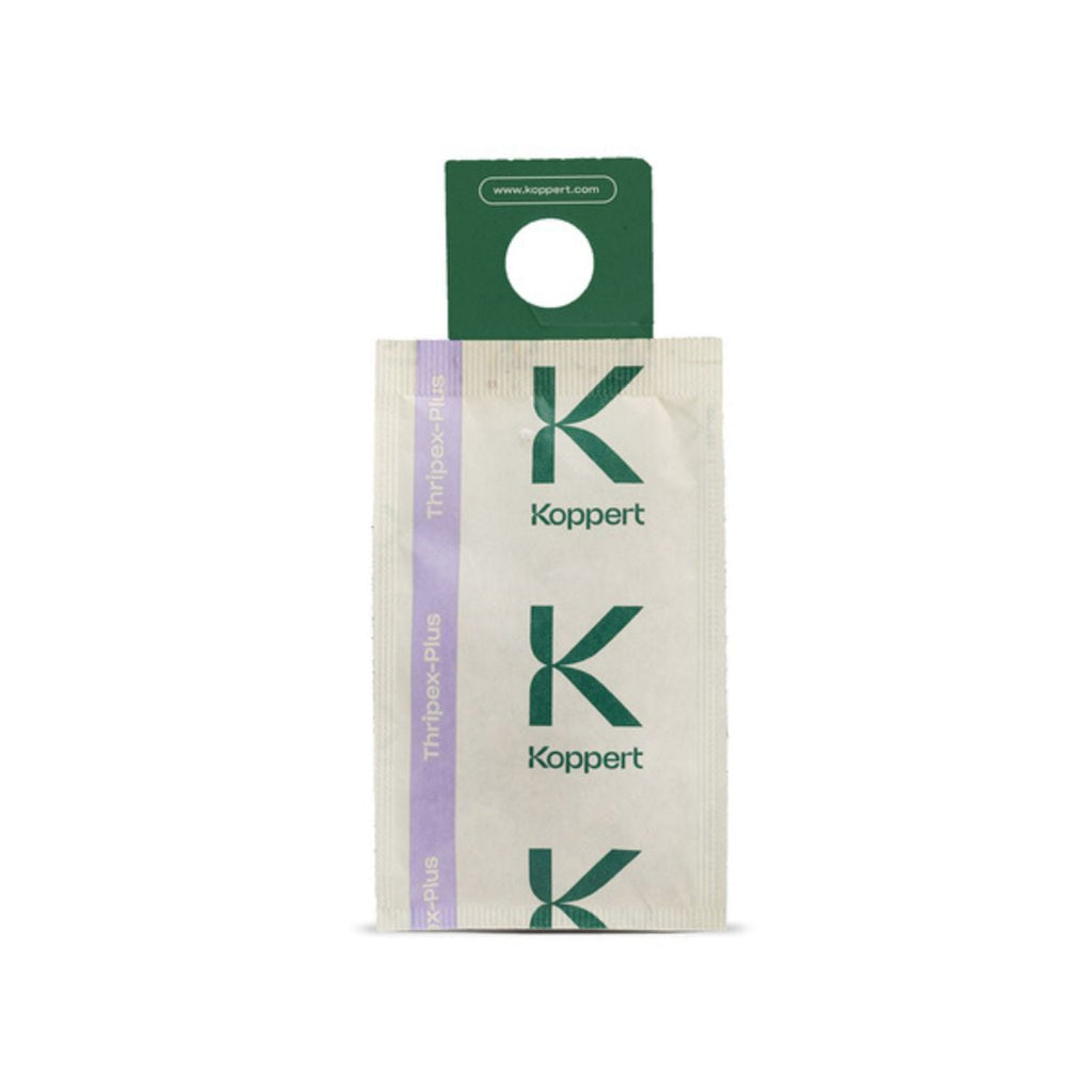 Koppert Thripex thrips predator sachet