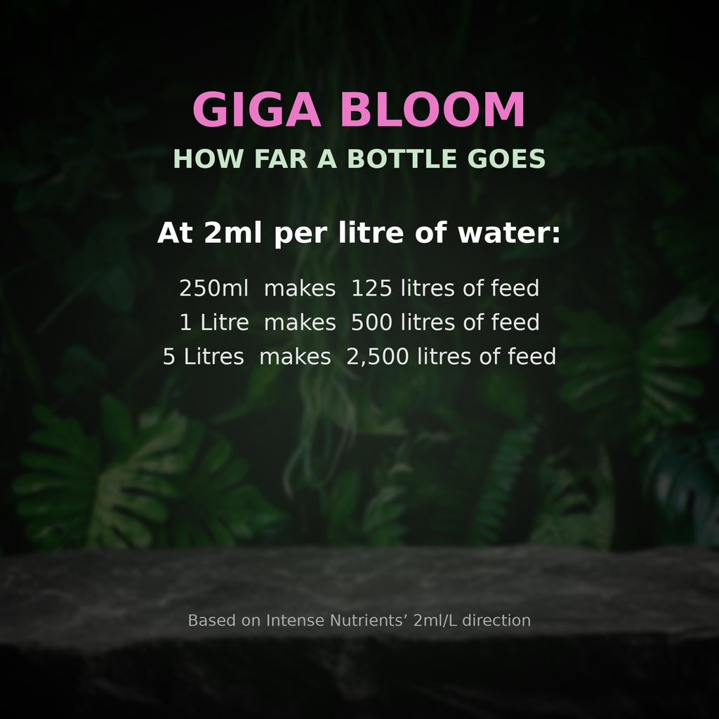 Giga Bloom how far a bottle goes at 2ml per litre