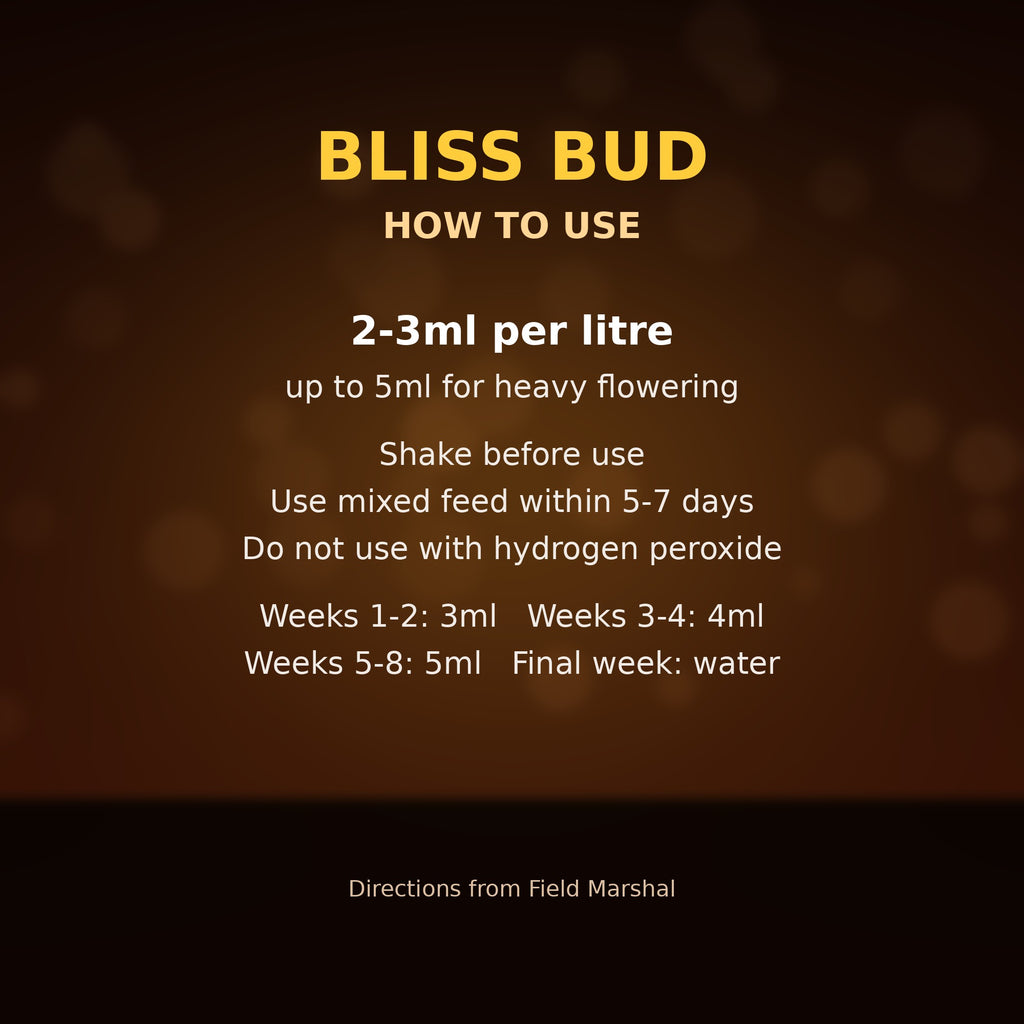 Bliss Bud how to use