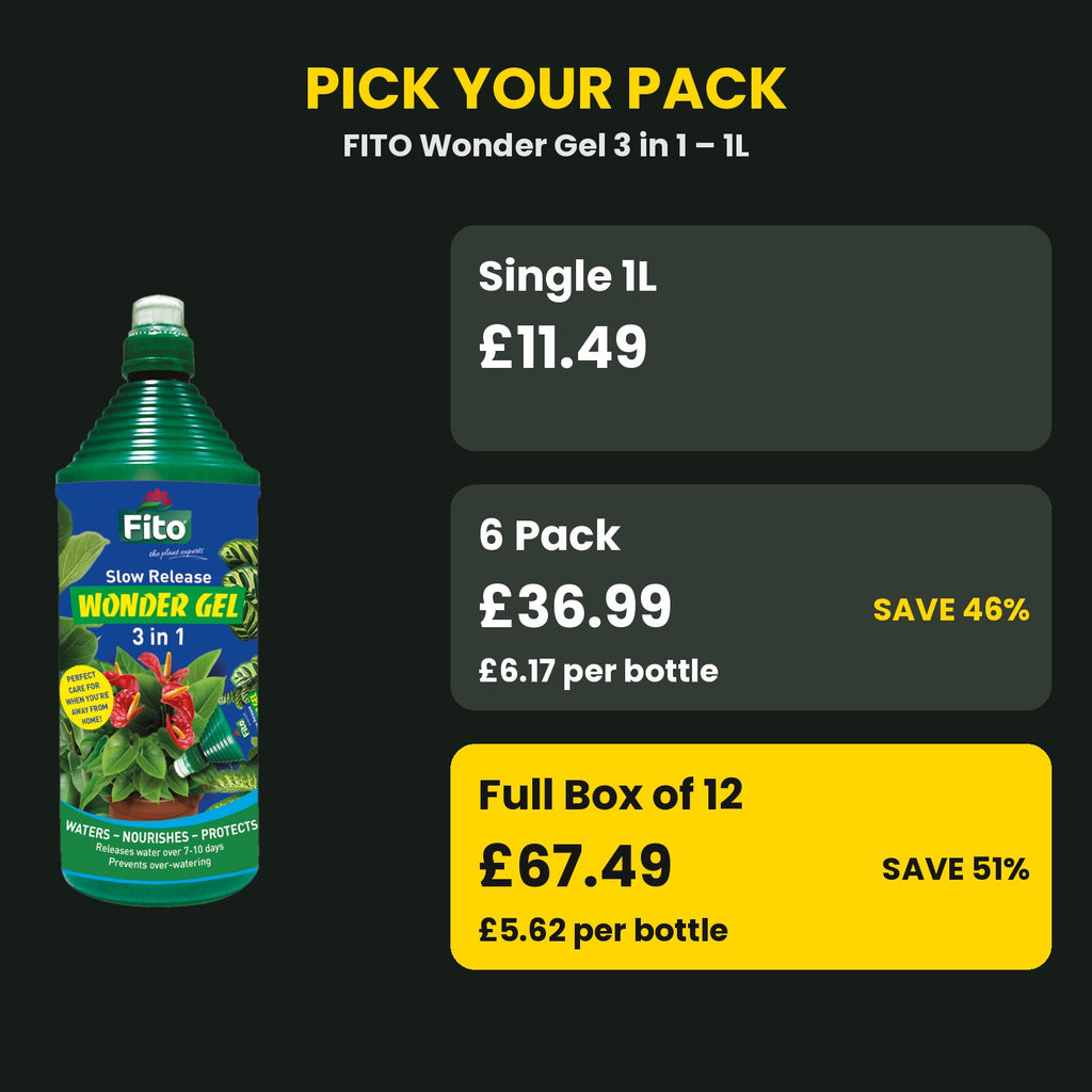 FITO Wonder Gel price guide