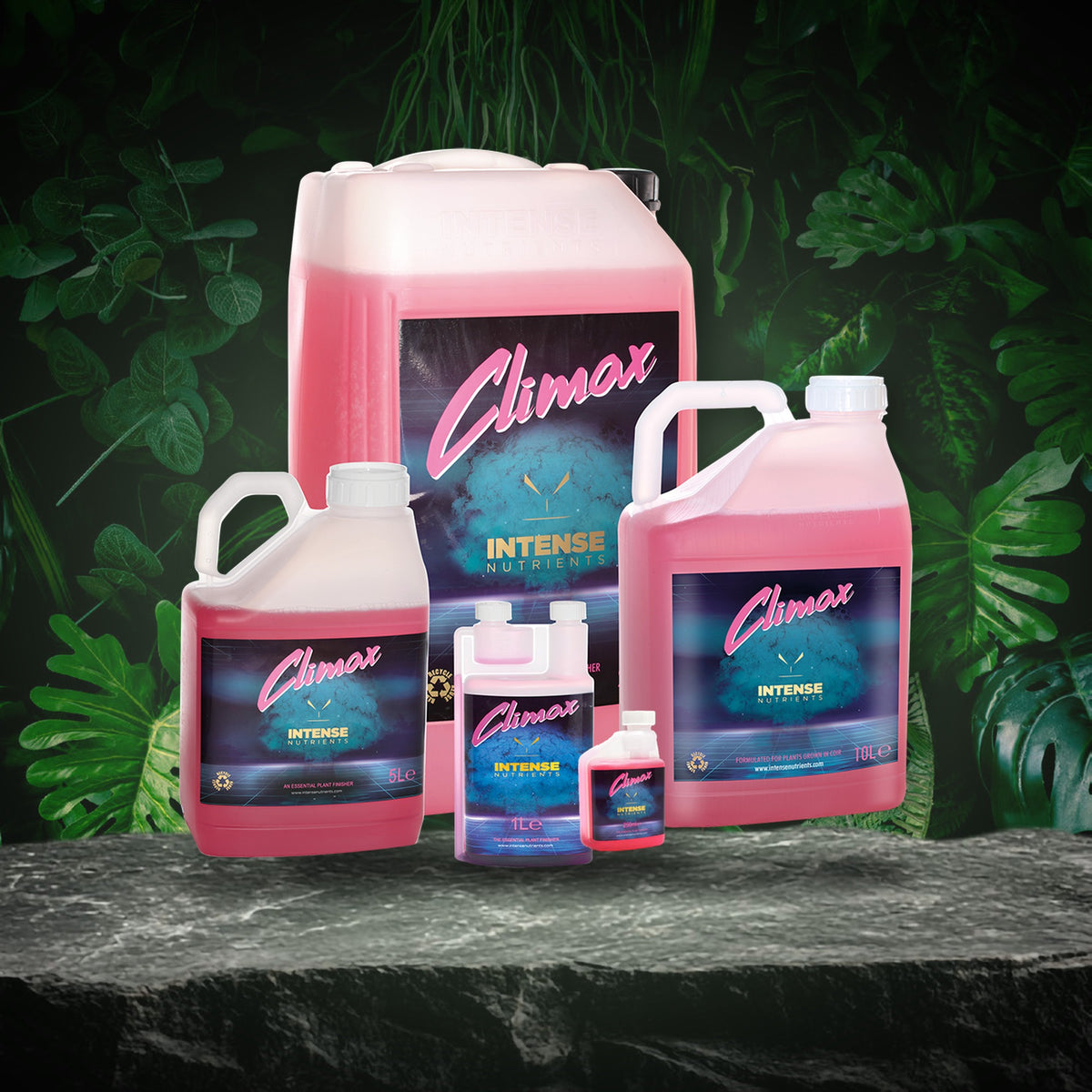 Intense Nutrients Climax full size range 250ml to 25L